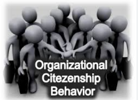 رفتار شهروند سازمانی